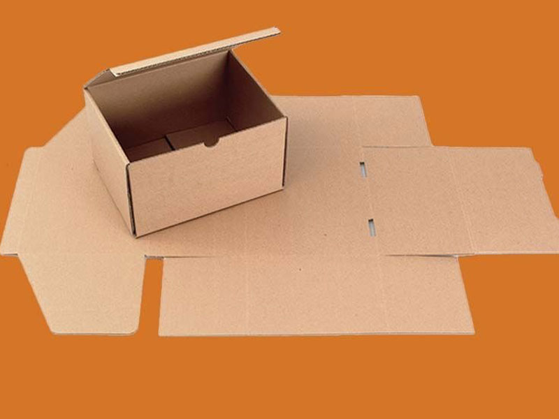 Cardboard